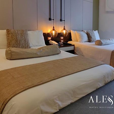 Alesia - Boutique Hotel & Spa Aguascalientes Kültér fotó